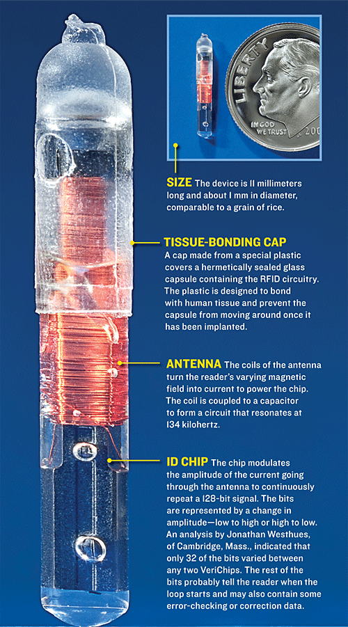 Figure from RFID Inside: anatomy of an implanted RFID chip